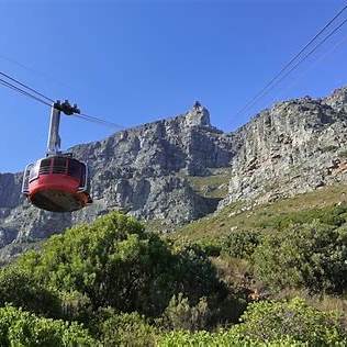 The Best of Cape Town - Full-Day Private Tour - Image 3
